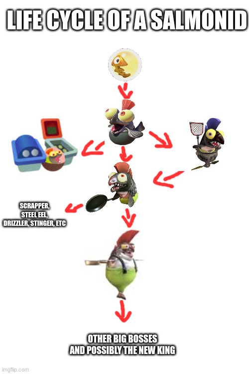 Salmonid life cycle | LIFE CYCLE OF A SALMONID; SCRAPPER, STEEL EEL, DRIZZLER, STINGER, ETC; OTHER BIG BOSSES AND POSSIBLY THE NEW KING | image tagged in splatoon,life | made w/ Imgflip meme maker