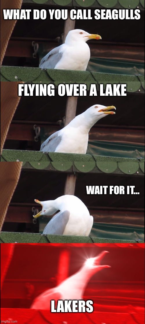 Seagull pun | WHAT DO YOU CALL SEAGULLS; FLYING OVER A LAKE; WAIT FOR IT…; LAKERS | image tagged in memes,inhaling seagull,lake,lakers | made w/ Imgflip meme maker