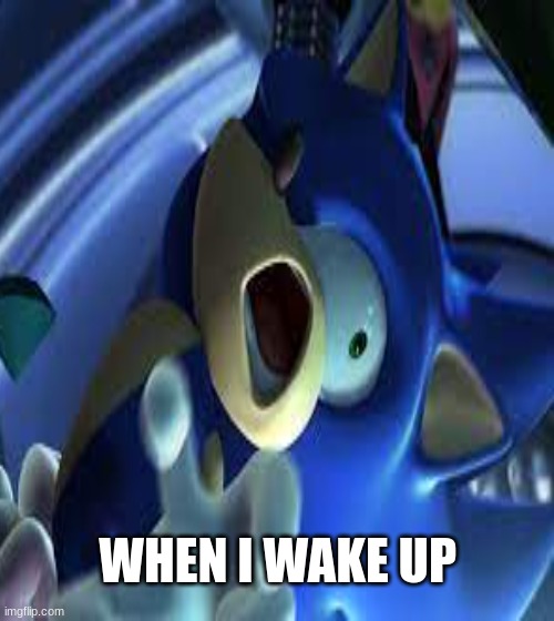 when you wake up | WHEN I WAKE UP | image tagged in funny sonic,memes,funny | made w/ Imgflip meme maker