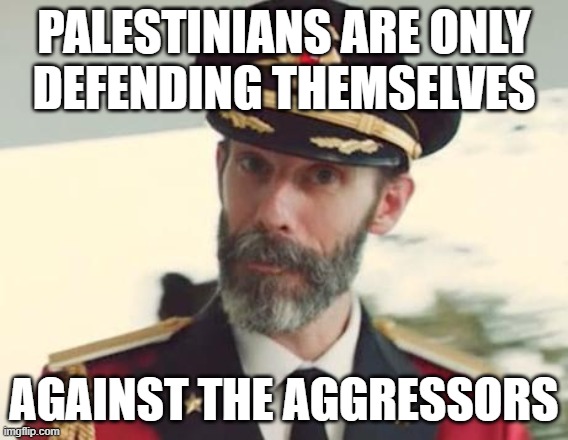 Captain Obvious | PALESTINIANS ARE ONLY
DEFENDING THEMSELVES; AGAINST THE AGGRESSORS | image tagged in captain obvious | made w/ Imgflip meme maker