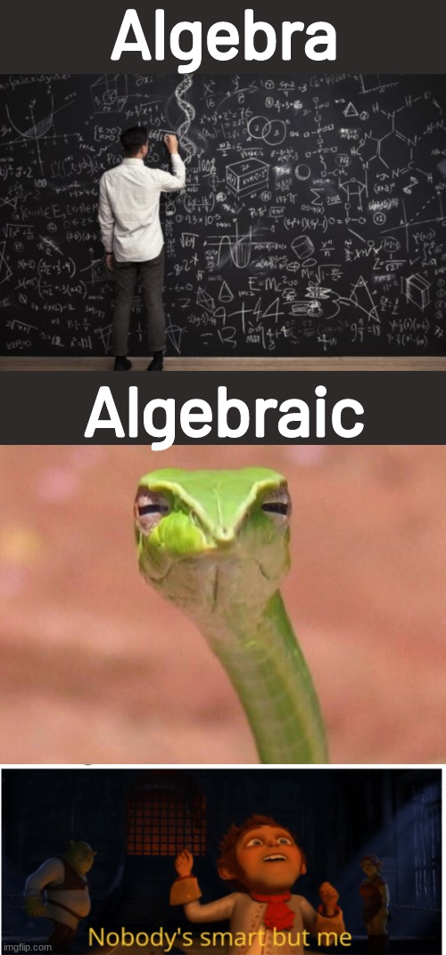 Algebra; Algebraic | image tagged in memes,funny,algebra | made w/ Imgflip meme maker