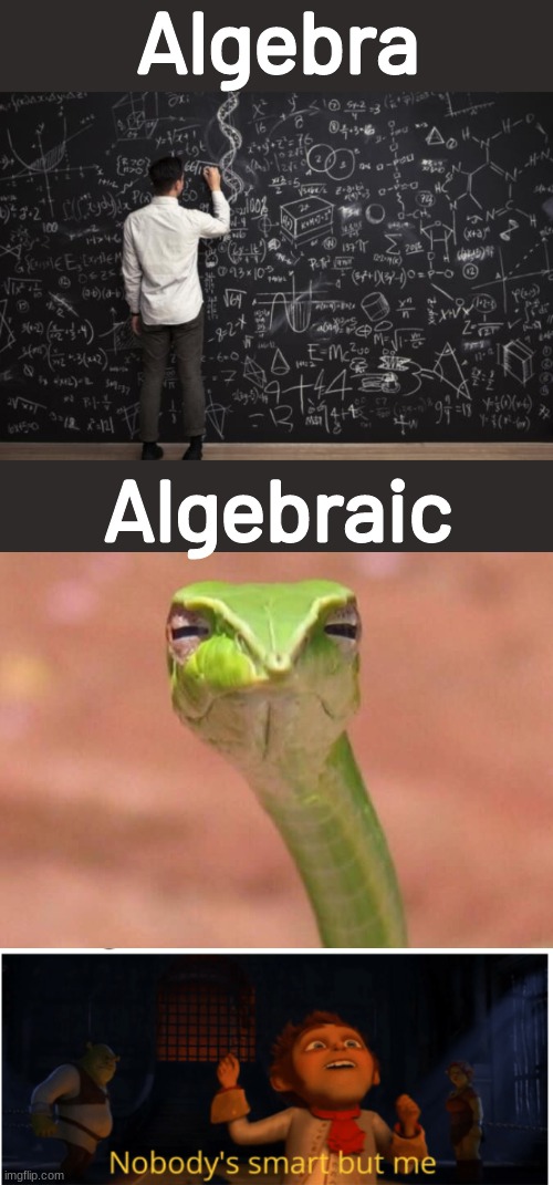 algebra memes