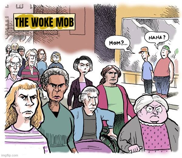 The fierce woke mob... | THE WOKE MOB | image tagged in woke,mob,fierce,deadly,scary,not | made w/ Imgflip meme maker