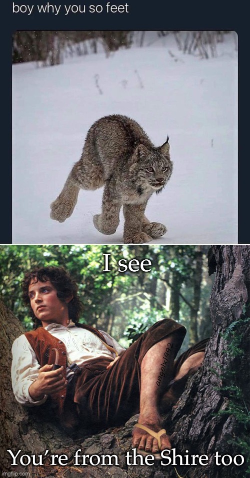 Big feet | I see; You’re from the Shire too | image tagged in hobbit feet,feet,bigfoot,big | made w/ Imgflip meme maker