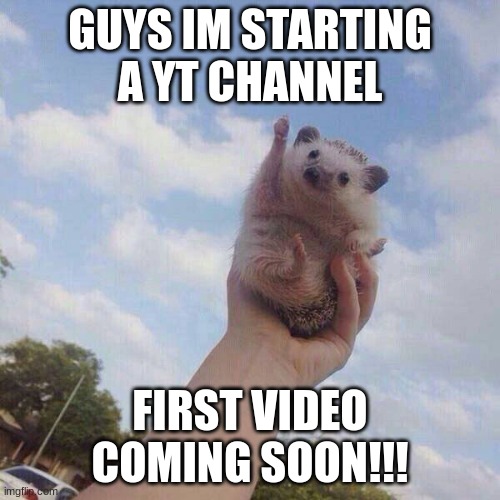 lets go | GUYS IM STARTING A YT CHANNEL; FIRST VIDEO COMING SOON!!! | image tagged in lets go | made w/ Imgflip meme maker