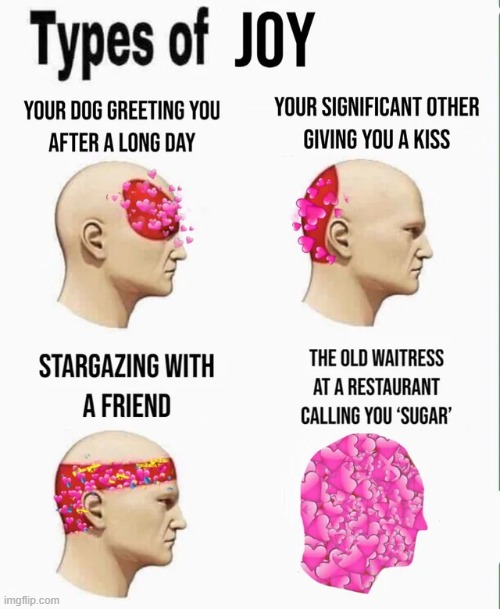 Types of Joy | image tagged in joy,head,memes,repost,wholesome,wholesome content | made w/ Imgflip meme maker