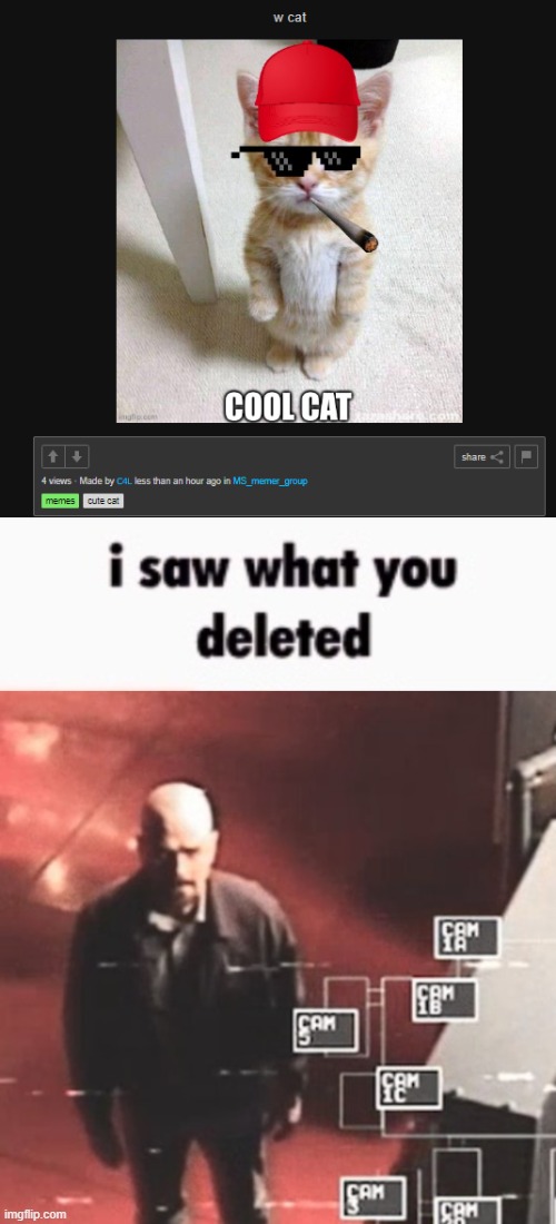 image tagged in i saw what you deleted | made w/ Imgflip meme maker