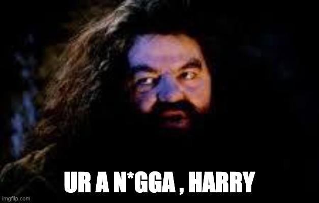 UR a N*GGA HARRY | UR A N*GGA , HARRY | image tagged in your a wizard harry | made w/ Imgflip meme maker