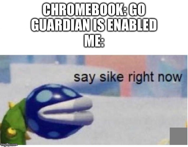 How many people can relate | CHROMEBOOK: GO GUARDIAN IS ENABLED; ME: | image tagged in say sike right now | made w/ Imgflip meme maker