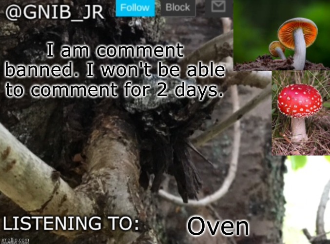 So yeah | I am comment banned. I won't be able to comment for 2 days. Oven | image tagged in gnib_jr's new temp | made w/ Imgflip meme maker
