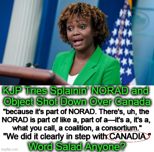 To Be Fair, she probably only heard of NORAD last week... | KJP Tries Splainin' NORAD and 
Object Shot Down Over Canada; "because it's part of NORAD. There's, uh, the 
NORAD is part of like a, part of a—it's a, it's a, 
what you call, a coalition, a consortium."; "We did it clearly in step with CANADIA."; Word Salad Anyone? | image tagged in politics,press secretary,kjp,word salad,learned it from kamala,inexperienced and inept | made w/ Imgflip meme maker