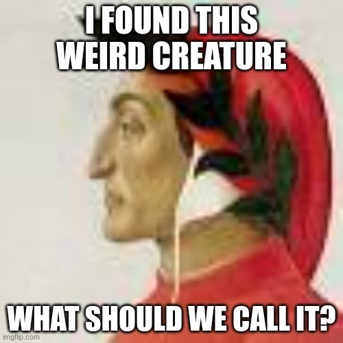 I FOUND THIS WEIRD CREATURE; WHAT SHOULD WE CALL IT? | made w/ Imgflip meme maker