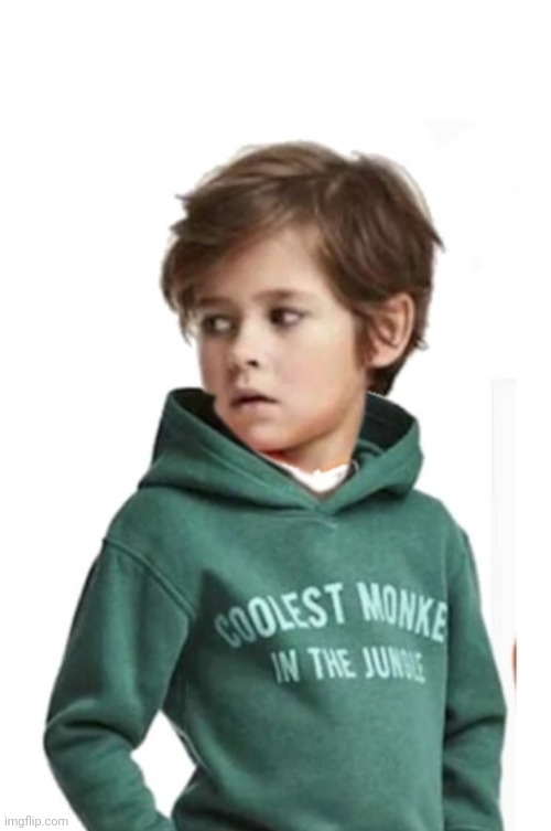 The coolest monkey hot sale in the jungle hoodie