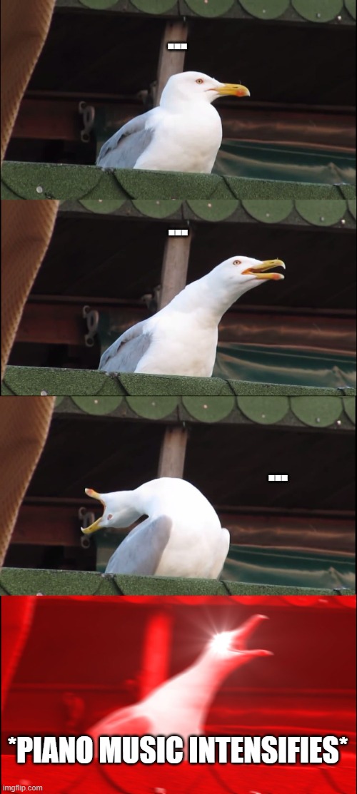 ... ... ... *PIANO MUSIC INTENSIFIES* | image tagged in memes,inhaling seagull | made w/ Imgflip meme maker