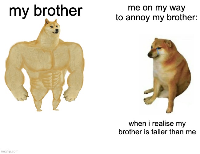 is this relatable? | my brother; me on my way to annoy my brother:; when i realise my brother is taller than me | image tagged in memes,buff doge vs cheems | made w/ Imgflip meme maker
