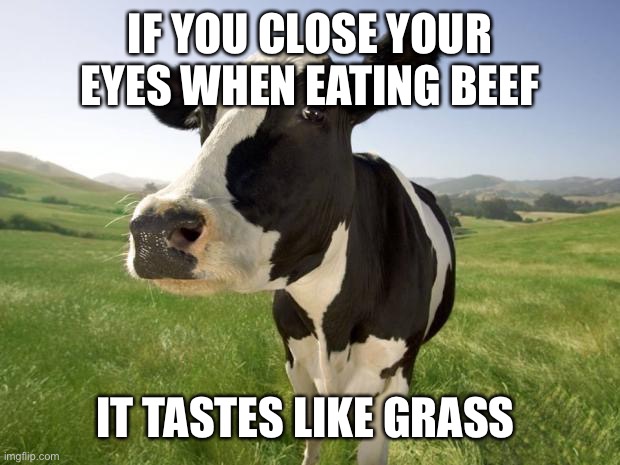 cow | IF YOU CLOSE YOUR EYES WHEN EATING BEEF IT TASTES LIKE GRASS | image tagged in cow | made w/ Imgflip meme maker