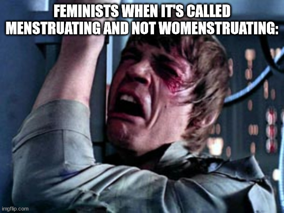 It's menstruating. Period. ;D |  FEMINISTS WHEN IT'S CALLED MENSTRUATING AND NOT WOMENSTRUATING: | image tagged in luke skywalker noooo,triggered feminist,oppression,period | made w/ Imgflip meme maker