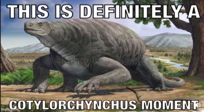who up Cotyloring they chynchus rn | made w/ Imgflip meme maker