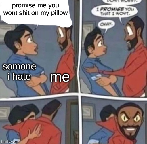 promise me you wont blank | promise me you wont shit on my pillow; me; somone i hate | image tagged in promise me you wont blank | made w/ Imgflip meme maker