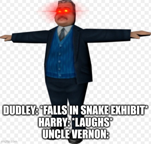Mad Uncle Vernon | DUDLEY: *FALLS IN SNAKE EXHIBIT*
HARRY: *LAUGHS*
UNCLE VERNON: | image tagged in mad,uncle,harry potter | made w/ Imgflip meme maker