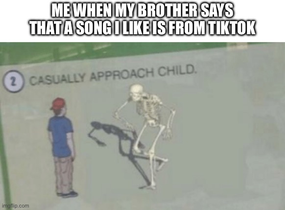Casually Approach Child | ME WHEN MY BROTHER SAYS THAT A SONG I LIKE IS FROM TIKTOK | image tagged in casually approach child | made w/ Imgflip meme maker