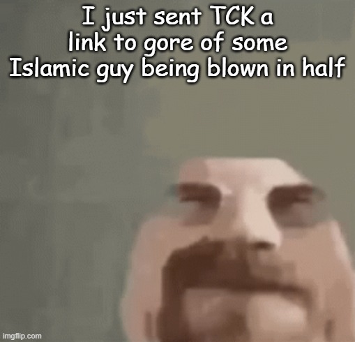 trolling | I just sent TCK a link to gore of some Islamic guy being blown in half | image tagged in heisenburger | made w/ Imgflip meme maker