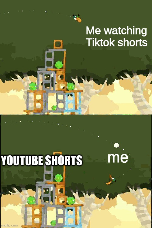 Angry Birds Hal but | Me watching Tiktok shorts; me; YOUTUBE SHORTS | image tagged in angry birds hal but | made w/ Imgflip meme maker