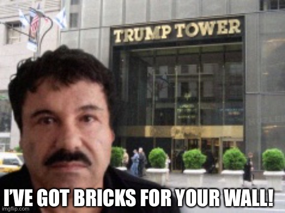 El chapo | I’VE GOT BRICKS FOR YOUR WALL! | image tagged in el chapo | made w/ Imgflip meme maker