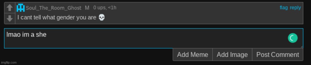 made w/ Imgflip meme maker