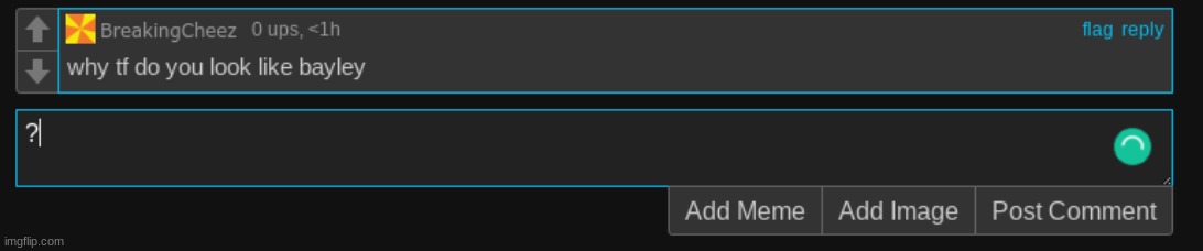 made w/ Imgflip meme maker