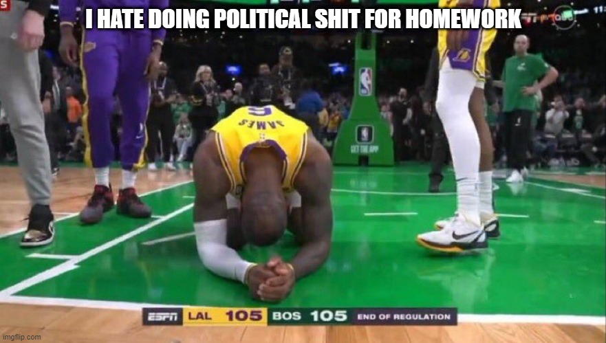 its all easy stuff, its just im not into politics (5 hours till i can comment btw) | I HATE DOING POLITICAL SHIT FOR HOMEWORK | image tagged in pie charts | made w/ Imgflip meme maker