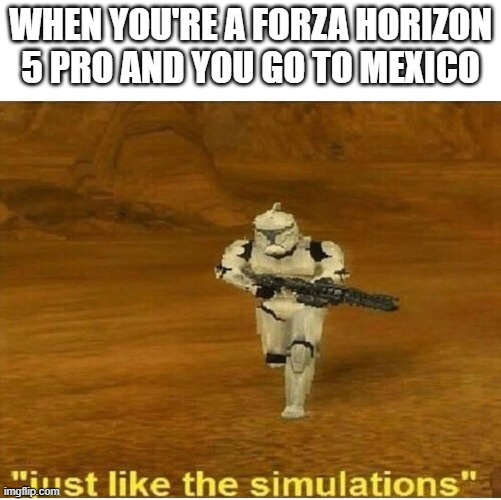 Concerning for those 8-year-old Forza fans... | WHEN YOU'RE A FORZA HORIZON 5 PRO AND YOU GO TO MEXICO | image tagged in just like the simulations | made w/ Imgflip meme maker