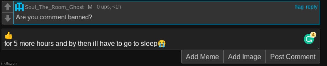 made w/ Imgflip meme maker