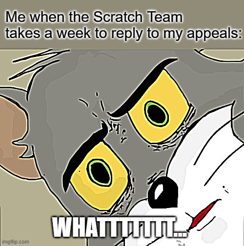 Has anyone else felt like this before? | Me when the Scratch Team takes a week to reply to my appeals:; WHATTTTTTT... | image tagged in memes,unsettled tom | made w/ Imgflip meme maker