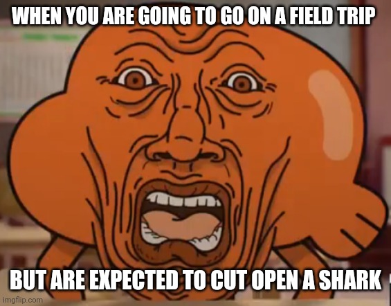 When they expect you to cut open a shark while on a field trip | WHEN YOU ARE GOING TO GO ON A FIELD TRIP; BUT ARE EXPECTED TO CUT OPEN A SHARK | image tagged in the amazing world of gumball darwin horror face | made w/ Imgflip meme maker