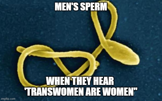Sperm messed up | MEN'S SPERM; WHEN THEY HEAR 
'TRANSWOMEN ARE WOMEN" | image tagged in sperm messed up | made w/ Imgflip meme maker