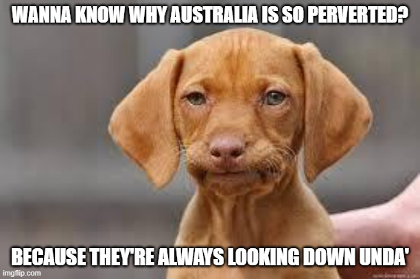 I hate myself for making this joke | WANNA KNOW WHY AUSTRALIA IS SO PERVERTED? BECAUSE THEY'RE ALWAYS LOOKING DOWN UNDA' | image tagged in disappointed dog | made w/ Imgflip meme maker