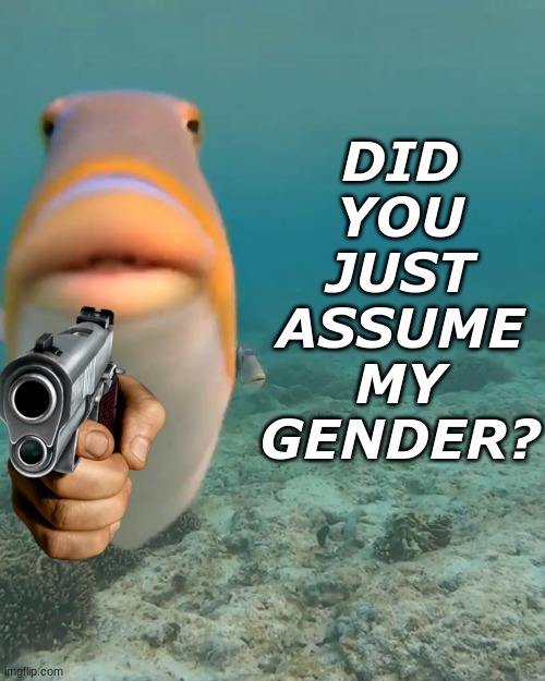 staring fish | DID
YOU
JUST
ASSUME
MY
GENDER? | image tagged in staring fish | made w/ Imgflip meme maker