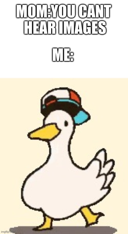 hmhm | MOM:YOU CANT  HEAR IMAGES; ME: | image tagged in dancing duck | made w/ Imgflip meme maker