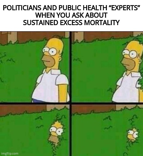 WHEN YOU ASK ABOUT SUSTAINED EXCESS MORTALITY | POLITICIANS AND PUBLIC HEALTH “EXPERTS”
WHEN YOU ASK ABOUT
SUSTAINED EXCESS MORTALITY | image tagged in excess mortality,covid,cover up | made w/ Imgflip meme maker