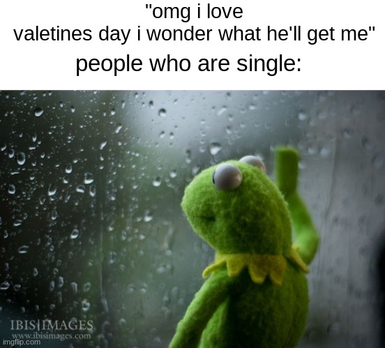 ;( | "omg i love valetines day i wonder what he'll get me"; people who are single: | image tagged in kermit window,depression,valentine's day | made w/ Imgflip meme maker
