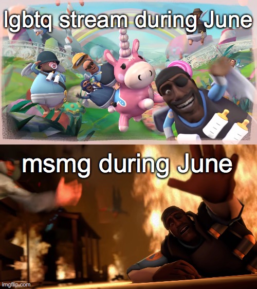 Imagination vs Reality | lgbtq stream during June; msmg during June | image tagged in imagination vs reality | made w/ Imgflip meme maker