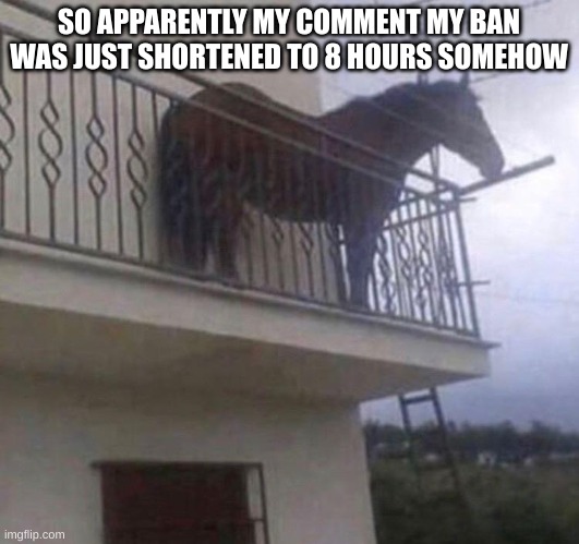 idk how | SO APPARENTLY MY COMMENT MY BAN WAS JUST SHORTENED TO 8 HOURS SOMEHOW | image tagged in juan | made w/ Imgflip meme maker