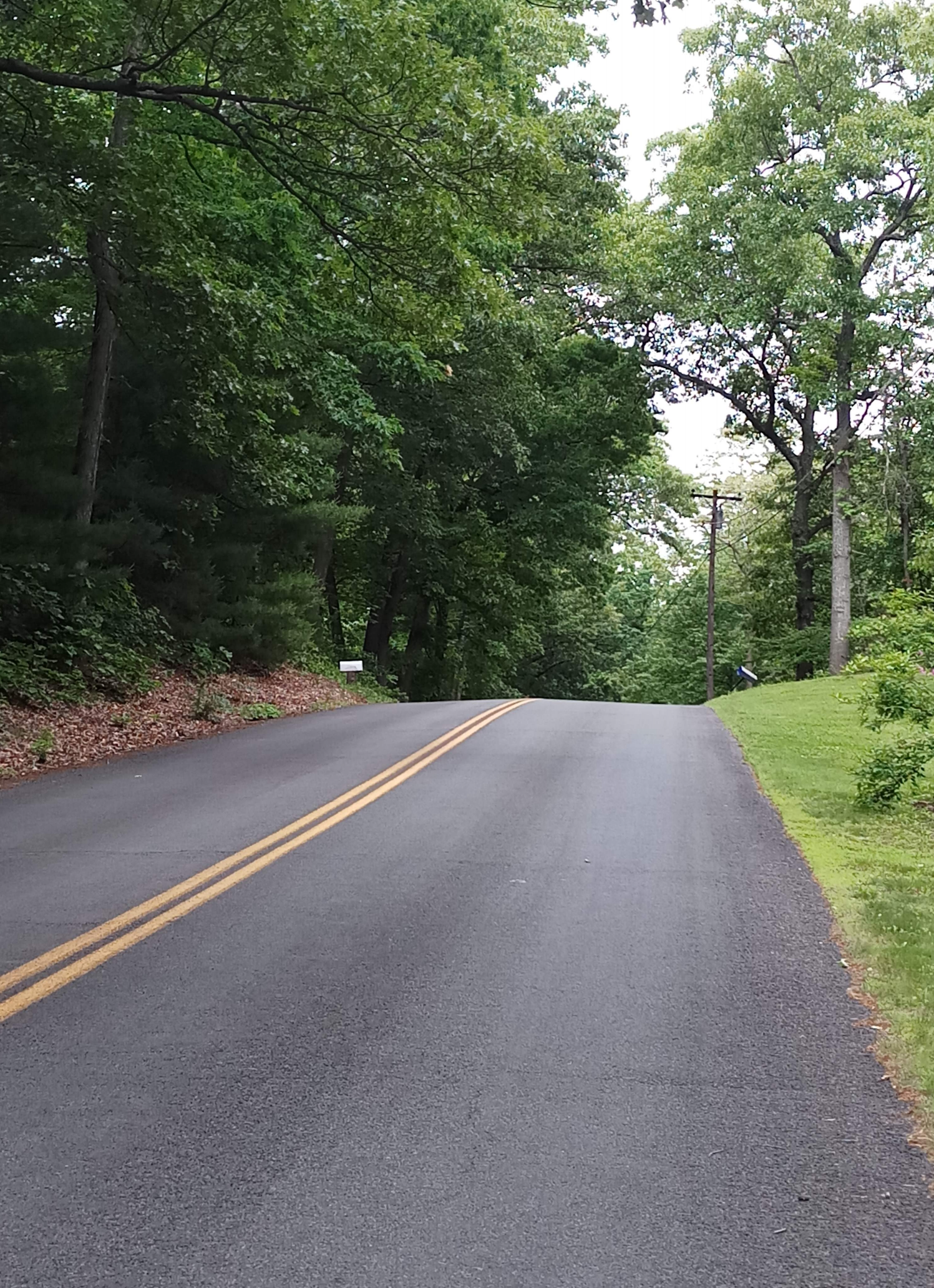 Road days Blank Meme Template