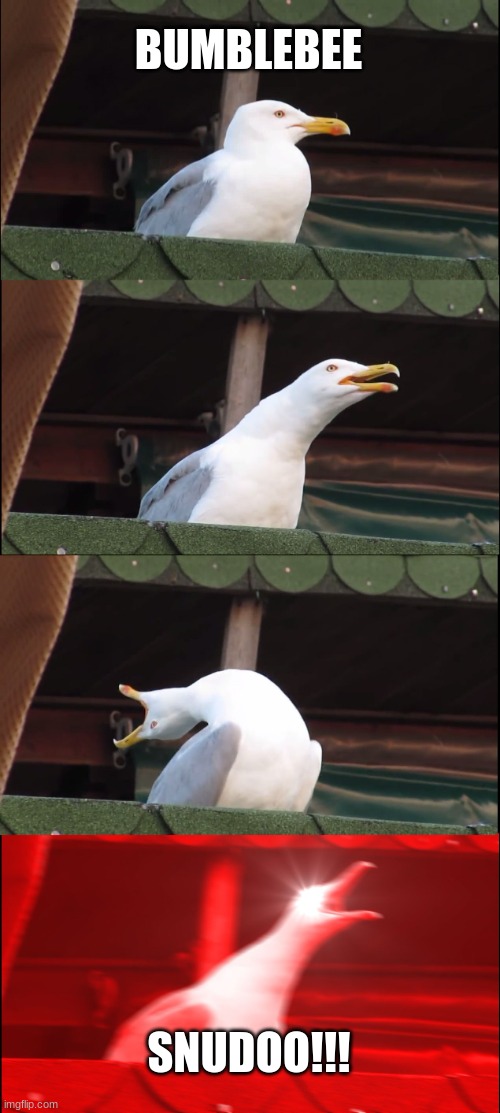 Inhaling Seagull Meme | BUMBLEBEE; SNUDOO!!! | image tagged in memes,inhaling seagull | made w/ Imgflip meme maker
