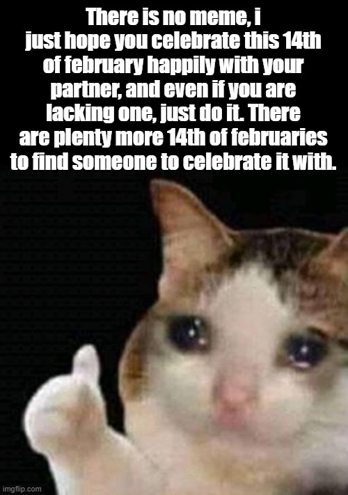 :) | There is no meme, i just hope you celebrate this 14th of february happily with your partner, and even if you are lacking one, just do it. There are plenty more 14th of februaries to find someone to celebrate it with. | image tagged in sad thumbs up cat,wholesome | made w/ Imgflip meme maker