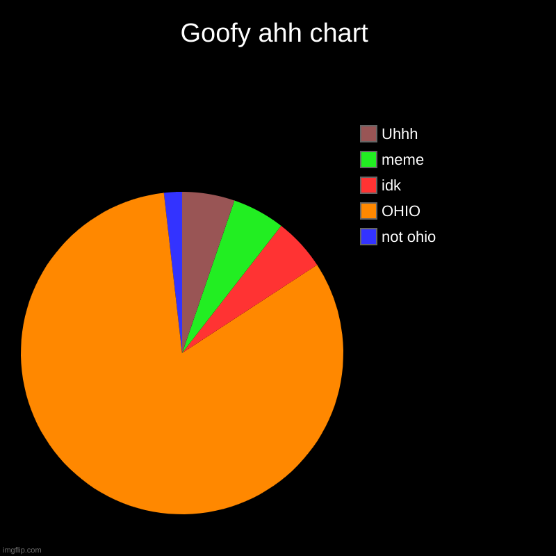 ITS OHIO MAAN | Goofy ahh chart | not ohio, OHIO, idk, meme, Uhhh | image tagged in charts,pie charts | made w/ Imgflip chart maker