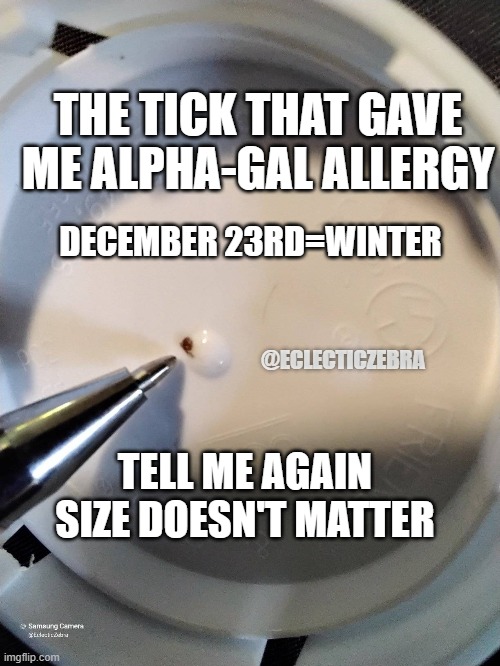 ALPHA-GAL ALLERGY | THE TICK THAT GAVE ME ALPHA-GAL ALLERGY; DECEMBER 23RD=WINTER; @ECLECTICZEBRA; TELL ME AGAIN SIZE DOESN'T MATTER | image tagged in facts | made w/ Imgflip meme maker