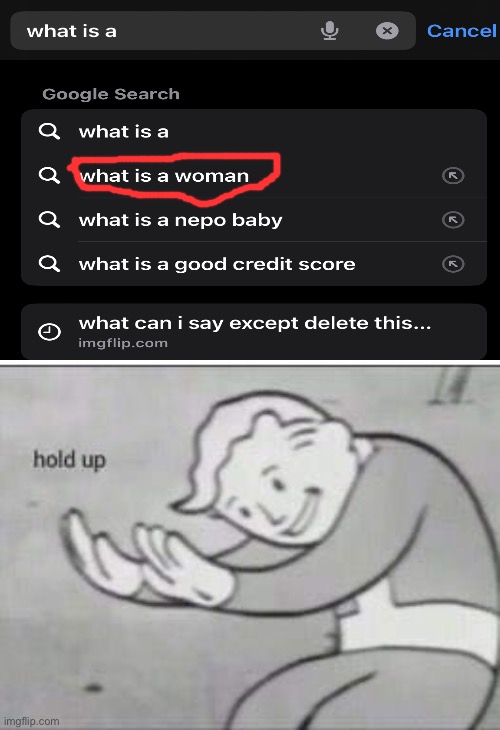 People are actually looking this up? | image tagged in fallout hold up,i have no idea what i am doing,certified bruh moment,why are you reading the tags | made w/ Imgflip meme maker