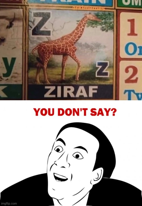 That’s a Giraffe, not a Ziraf. | image tagged in memes,you don't say,you had one job,failure,giraffe,design fails | made w/ Imgflip meme maker